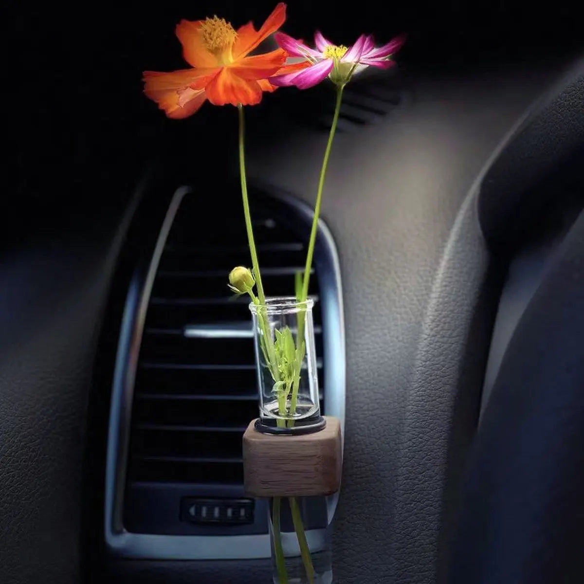 Mini Car Plant Terrarium – Glass Hydroponic Vase for Auto Decor