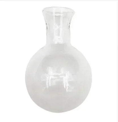 Hydroponic Glass Plant Vase – Desktop Terrarium for Home & Office