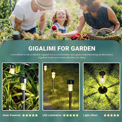 10-Pack Solar Garden Lights – Waterproof Outdoor Pathway Lamps
