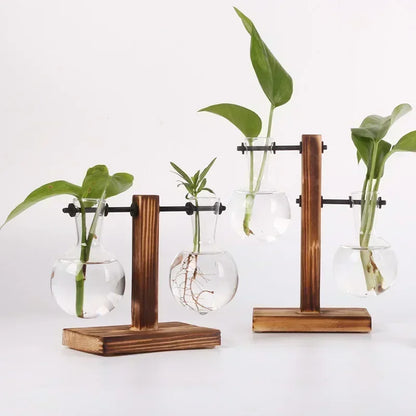 Hydroponic Glass Plant Vase – Desktop Terrarium for Home & Office