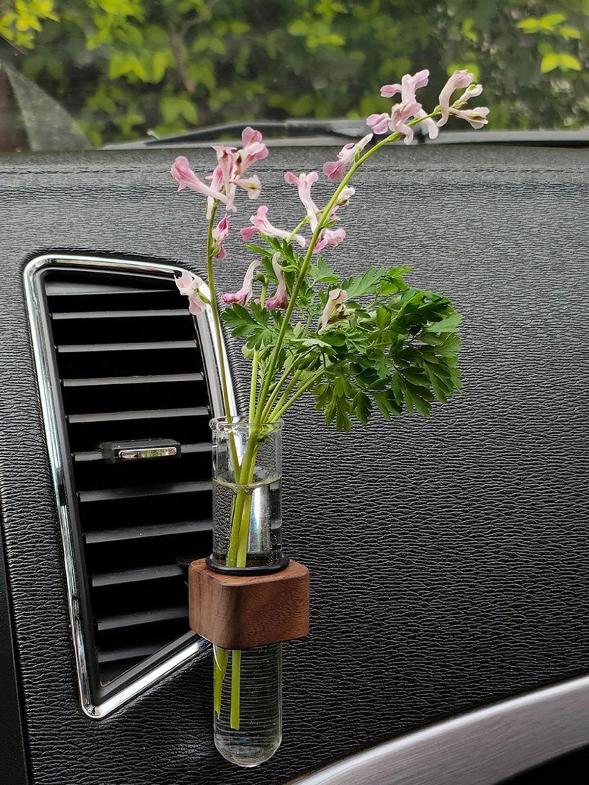 Mini Car Plant Terrarium – Glass Hydroponic Vase for Auto Decor