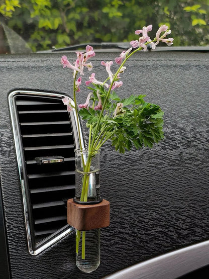 Mini Car Plant Terrarium – Glass Hydroponic Vase for Auto Decor