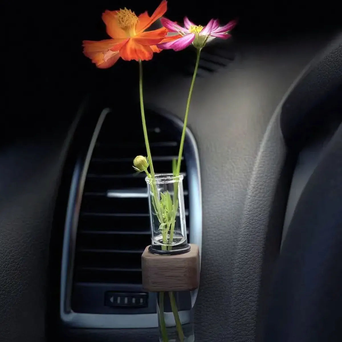 Mini Car Plant Terrarium – Glass Hydroponic Vase for Auto Decor