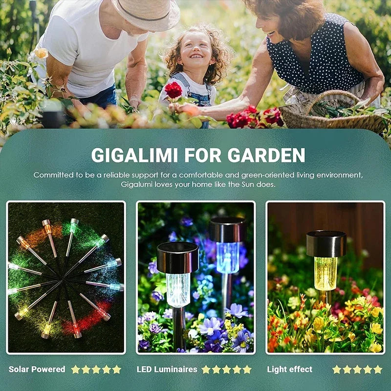 10-Pack Solar Garden Lights – Waterproof Outdoor Pathway Lamps