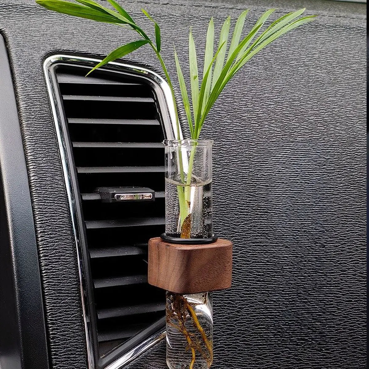 Mini Car Plant Terrarium – Glass Hydroponic Vase for Auto Decor