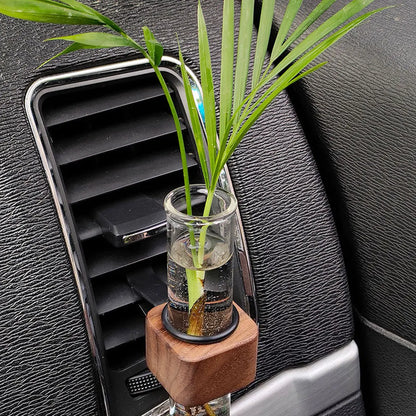 Mini Car Plant Terrarium – Glass Hydroponic Vase for Auto Decor