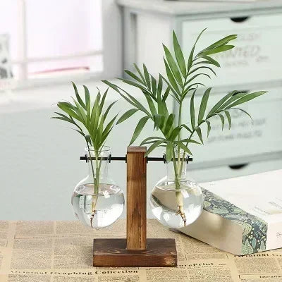 Hydroponic Glass Plant Vase – Desktop Terrarium for Home & Office